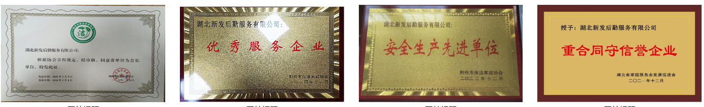 1750996114117876.png 荣誉汇总1.png